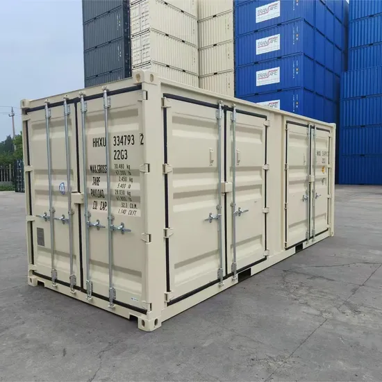 Conteneur 20GP 2 portes laterales CSC